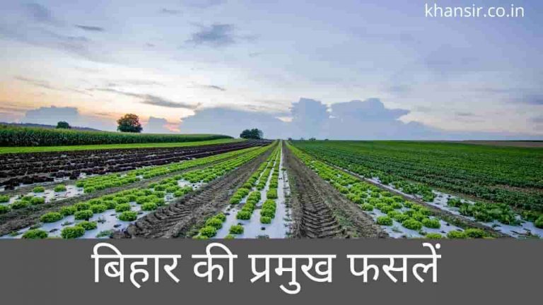 Major Crops of Bihar